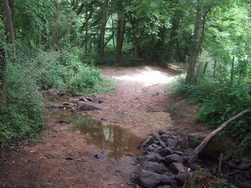 2011-05- (196).JPG